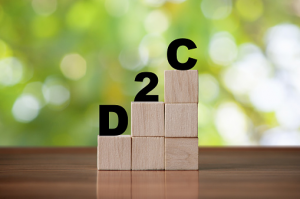 Best 5 D2C Marketing Strategy Best 5 D2C Marketing Strategy